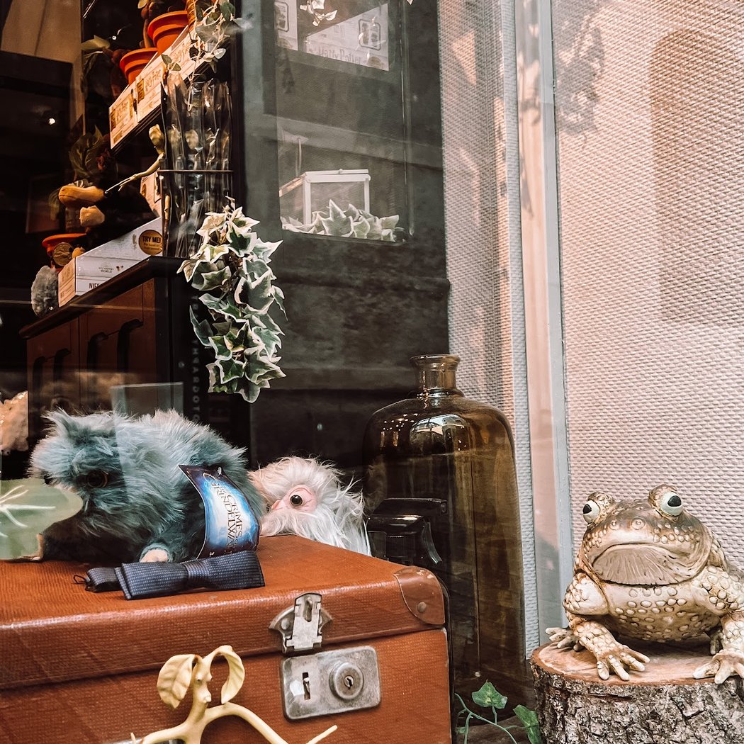 The Wizard's Shop 3