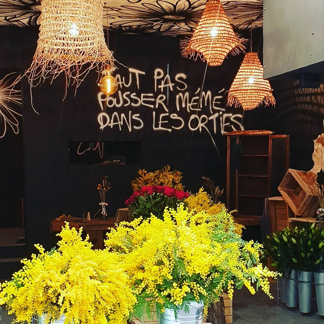 Graines de rue 1