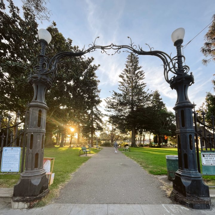 Lincoln Park 1
