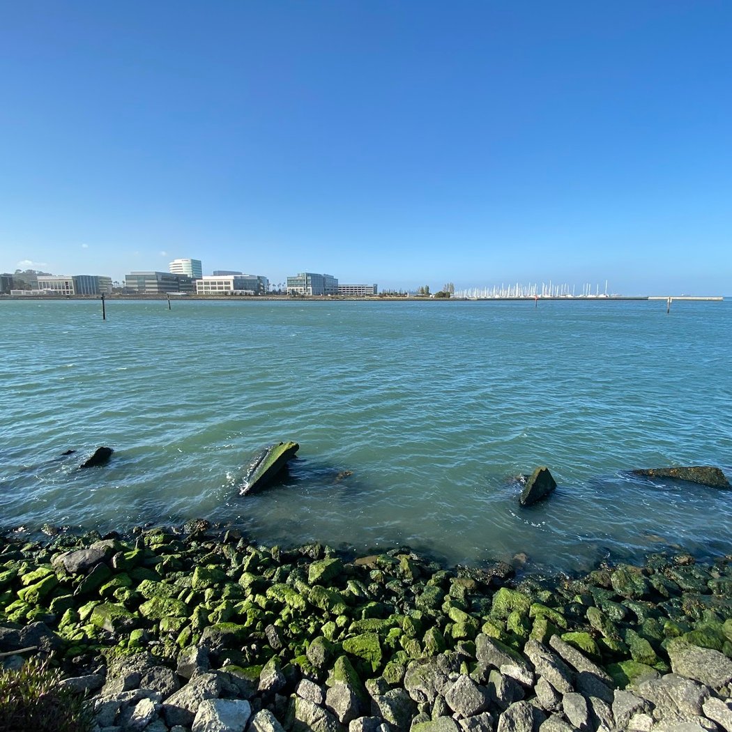 OYSTER POINT MARINA PLAZA 3
