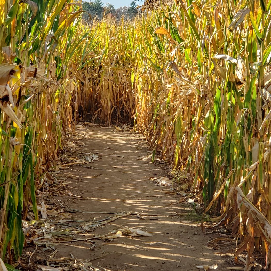 Secor Farms 1