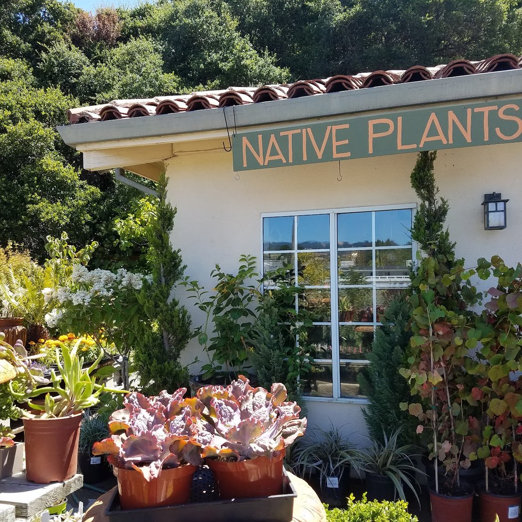 Green Jeans Garden Supply 3