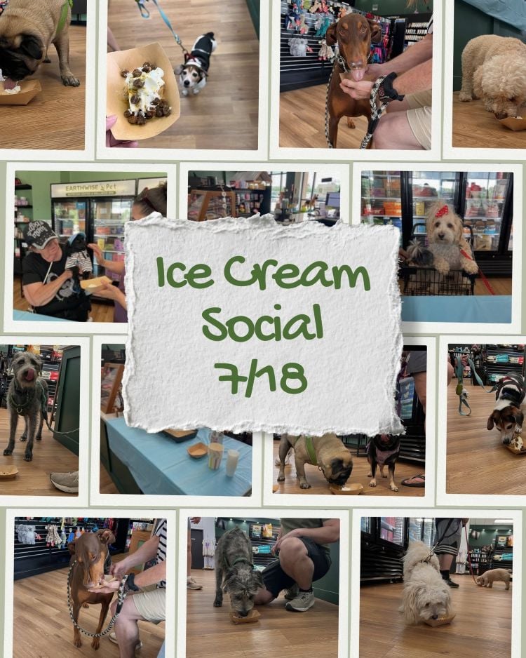 Pet Ice Cream Social 1