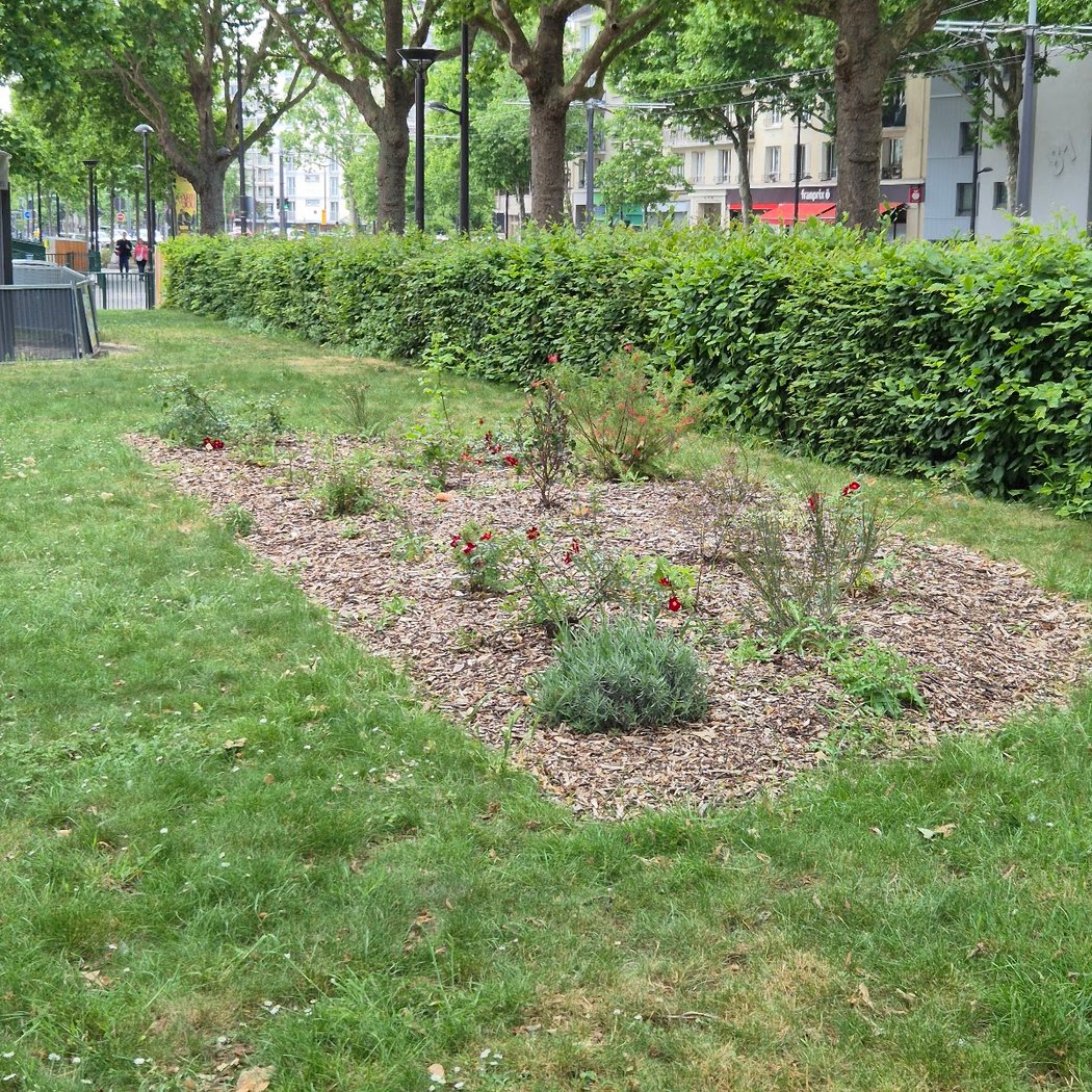 Jardin ouvert la nuit 3