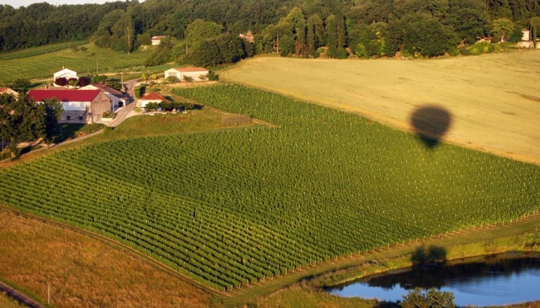 Marché gourmand de producteurs 3