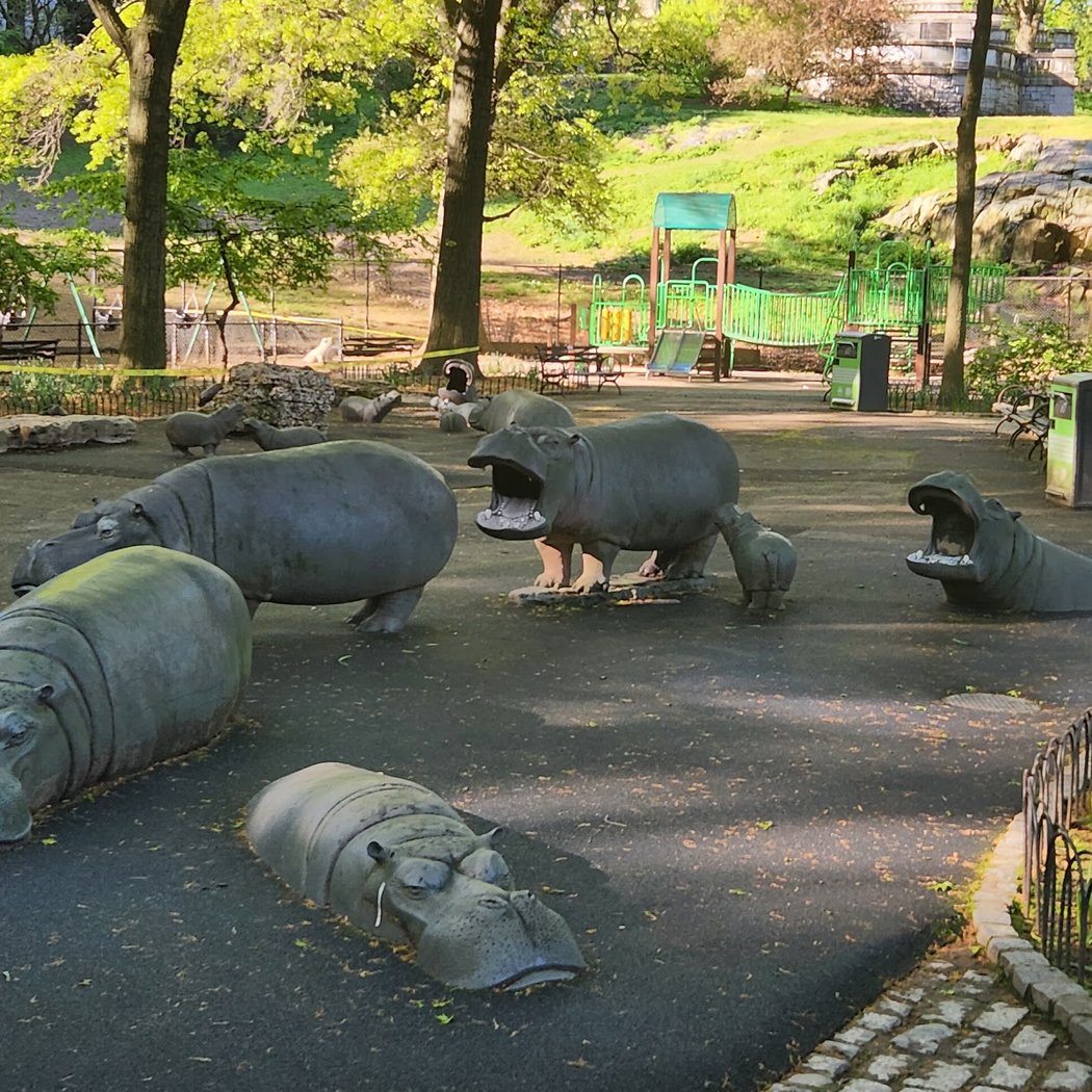Hippo Playground 1