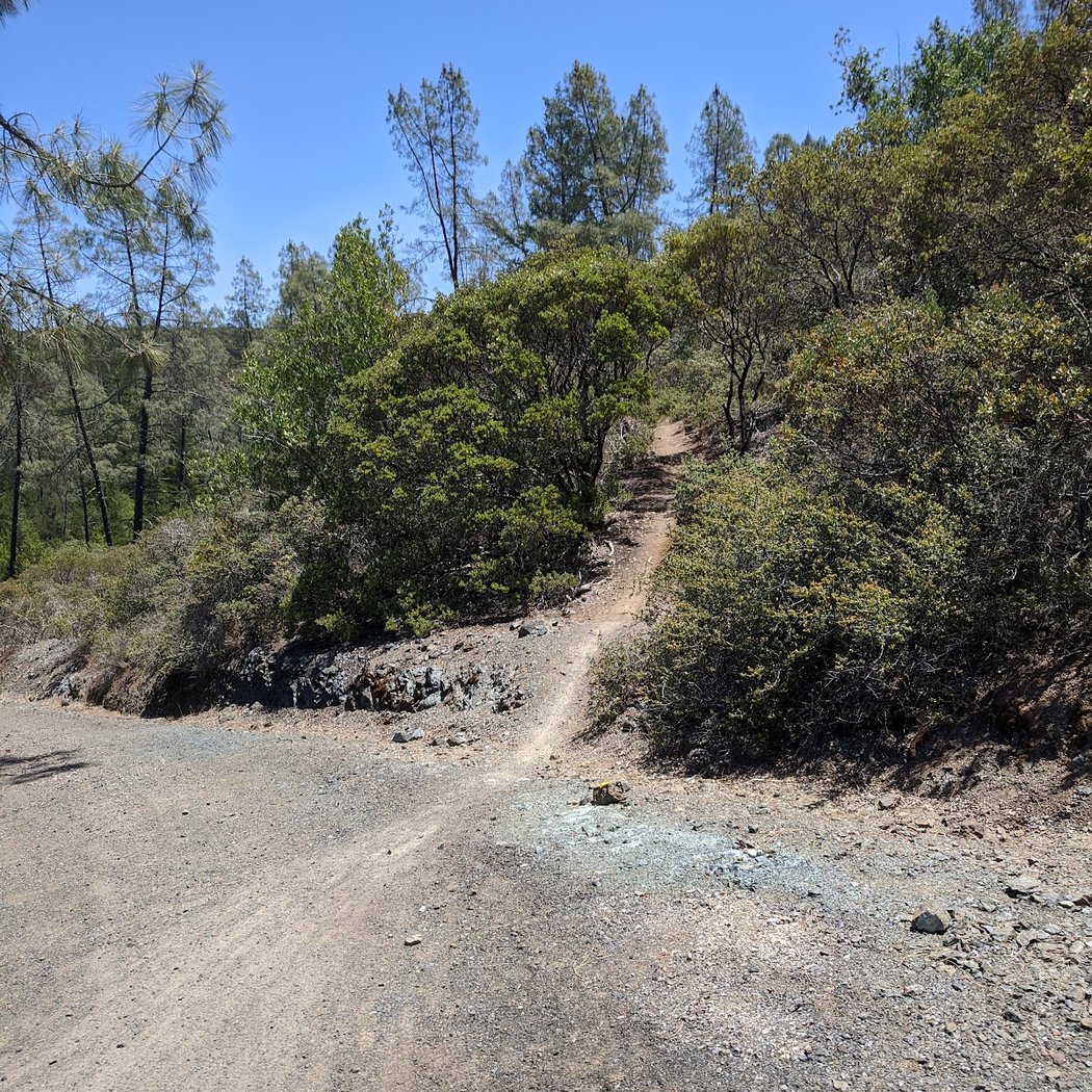 Las Posadas State Forest 3