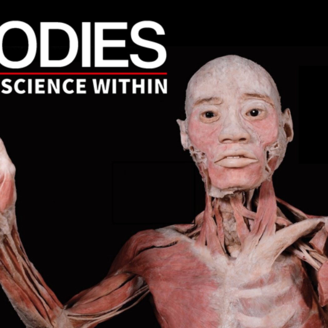 Bodies – The Science Within 3