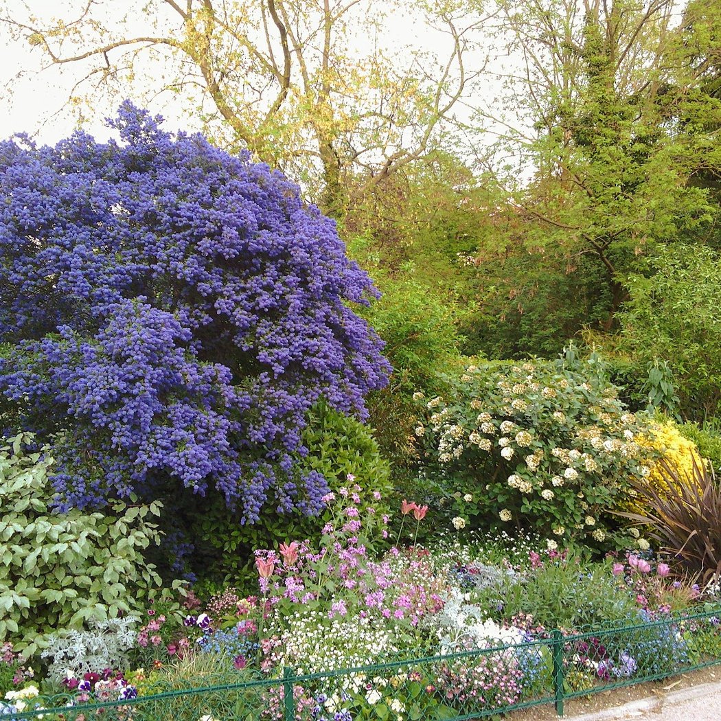 Parc Sainte-Périne 1