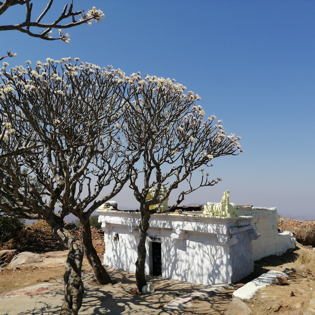Makali Durga Betta 1
