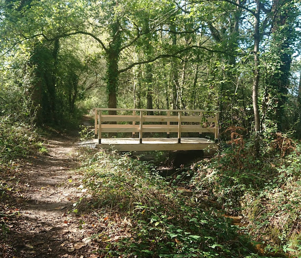 Réserve Naturelle Régionale du Bocage humide des Cailleries 3