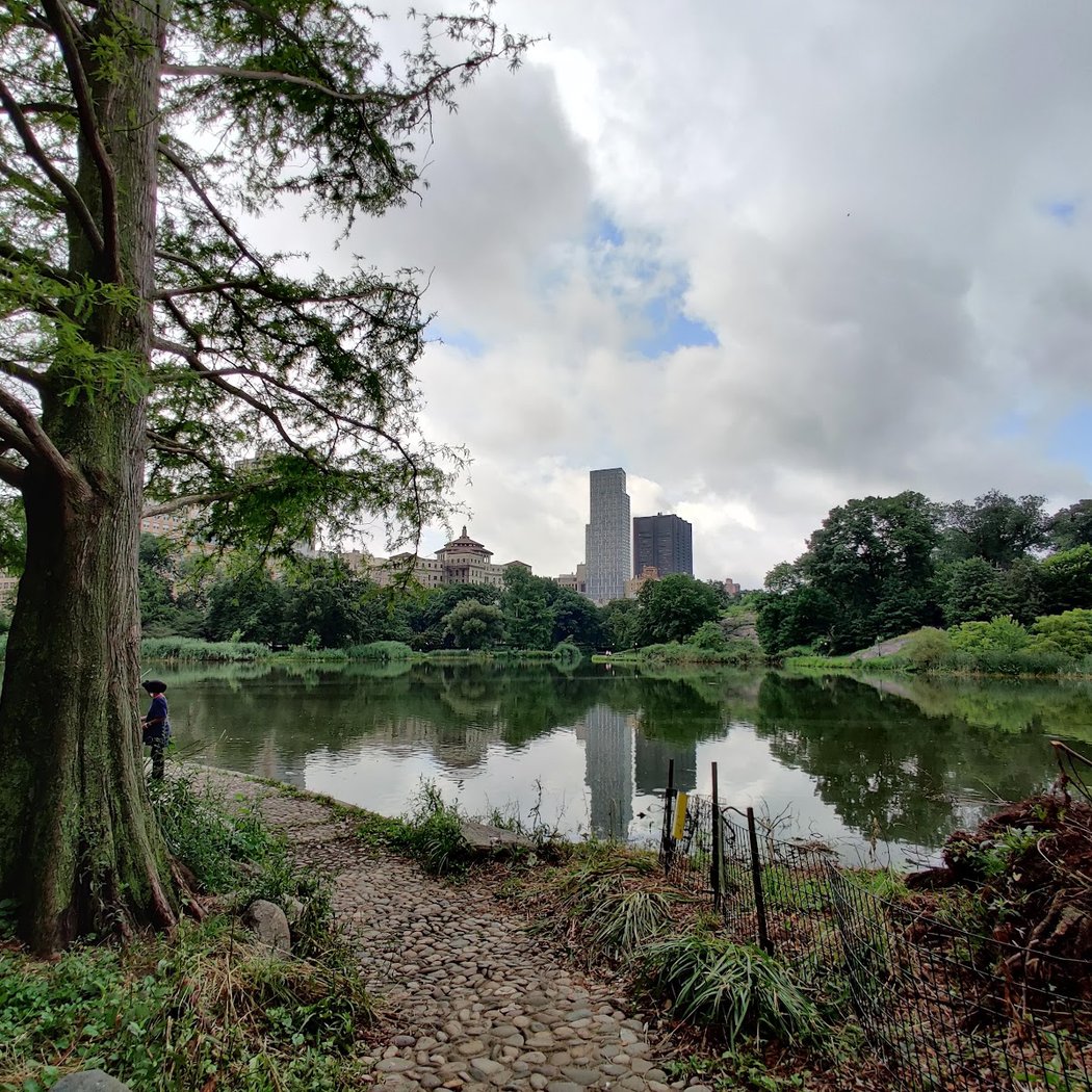 Central Park Floatilla 2