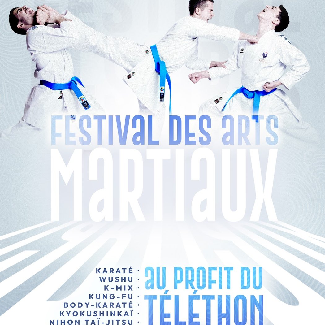 Martial Arts Sud Bretagne 1