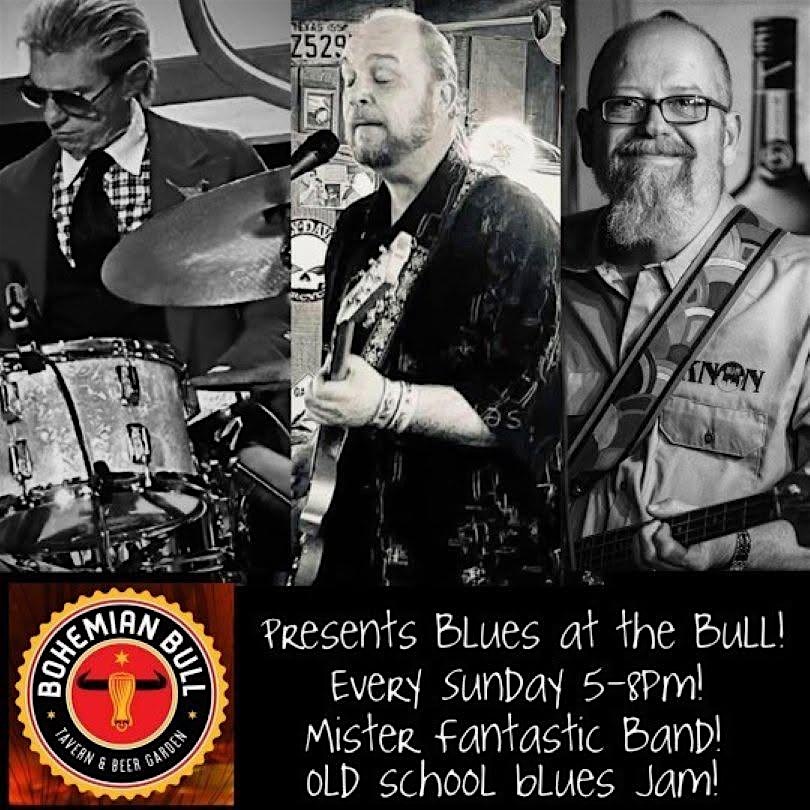 Blues at the Bull 1