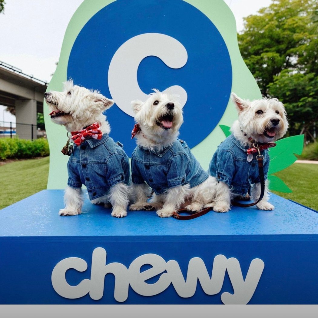 Chewy Pack Walk at The Underline 3