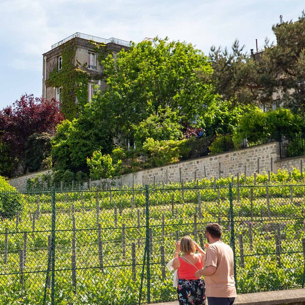 Clos Montmartre 1