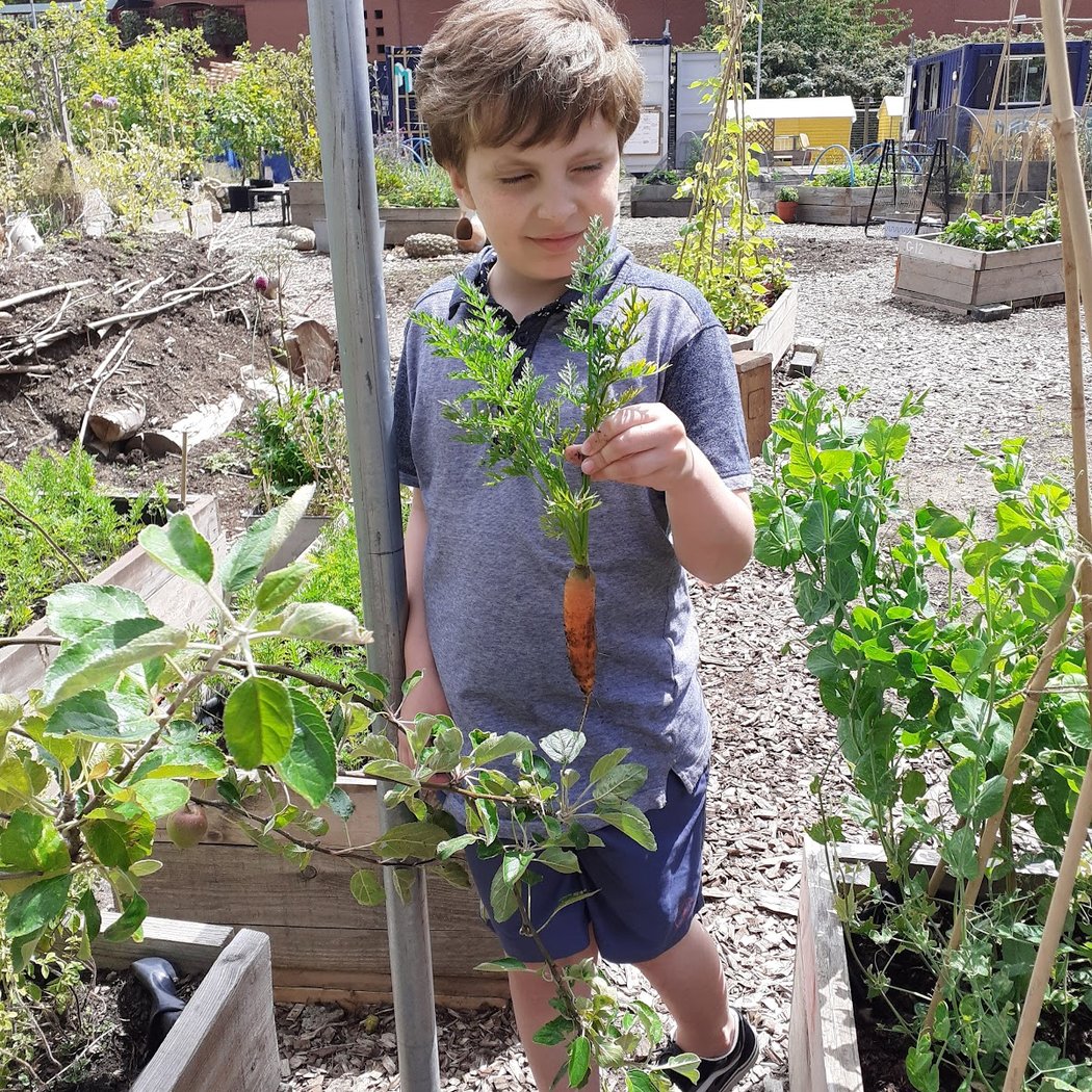 Story Garden 1