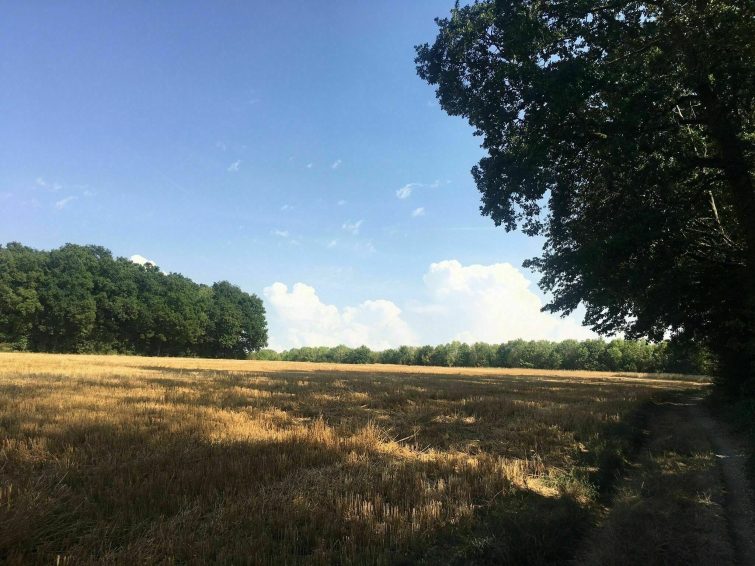 Parc naturel régional de la Haute Vallée de Chevreuse 2