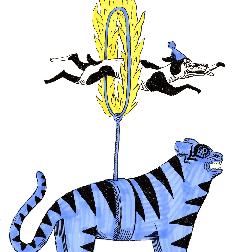 Bazar Circus 1