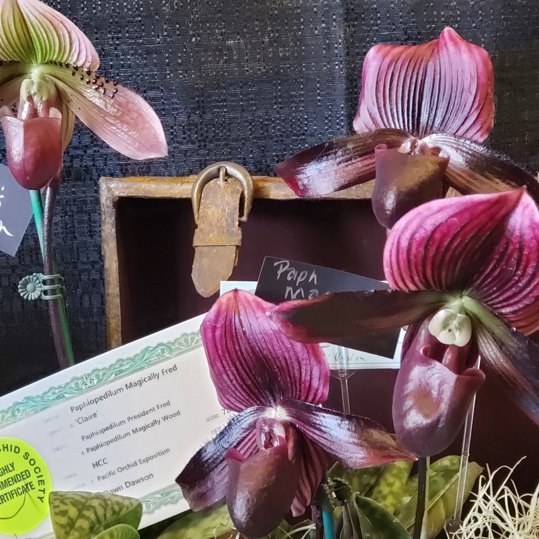 2026 Ikebana Flower Show 3