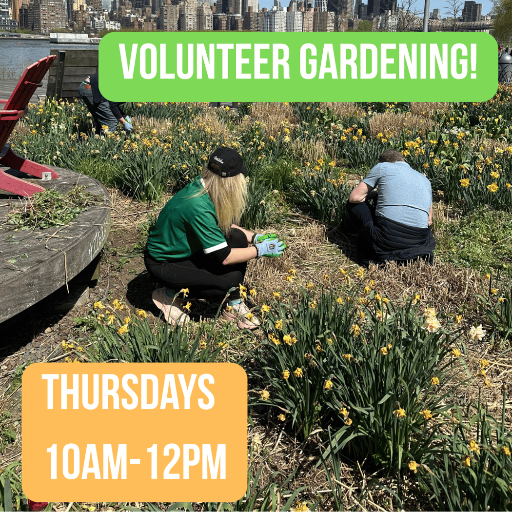 HPPC Volunteer Event 1
