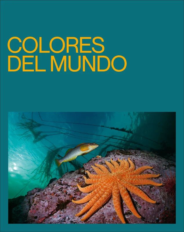 Colors of the World