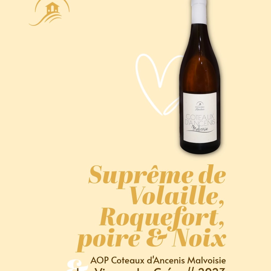 Vignoble Marchais - Le Chai de Thouaré sur Loire 2