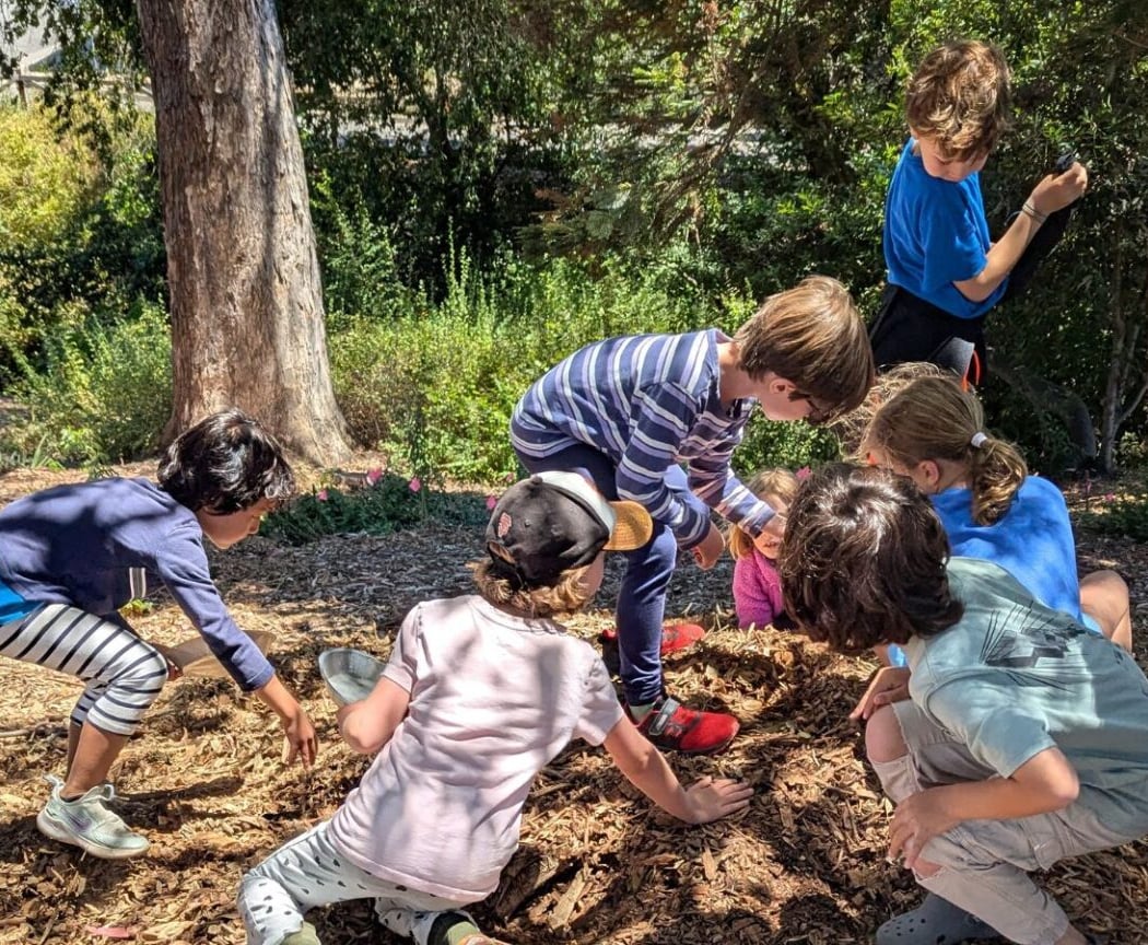 Wild World of Santa Cruz Summer Camp 1