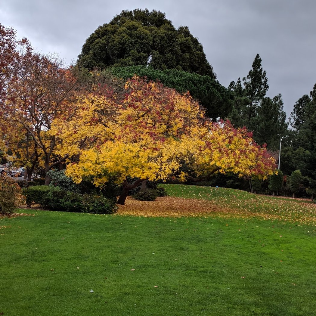 Jerry Bowden Park 1
