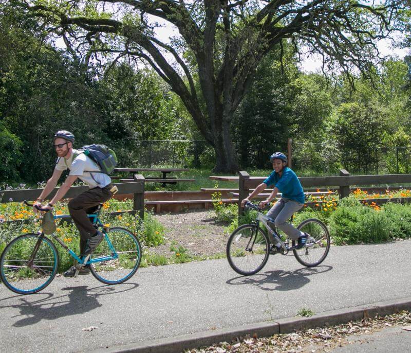 Lafayette/Moraga Regional Trail 2