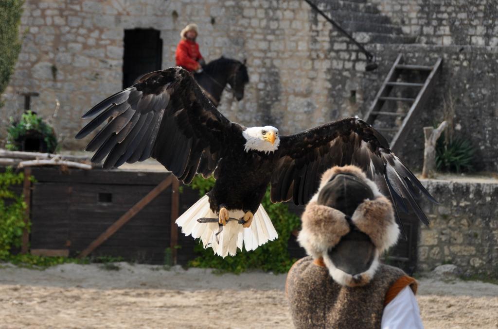 Les Aigles des Remparts 3