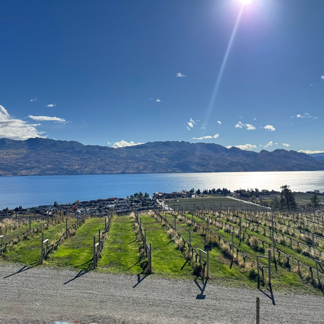 Mission Hill Family Estate Winery 3
