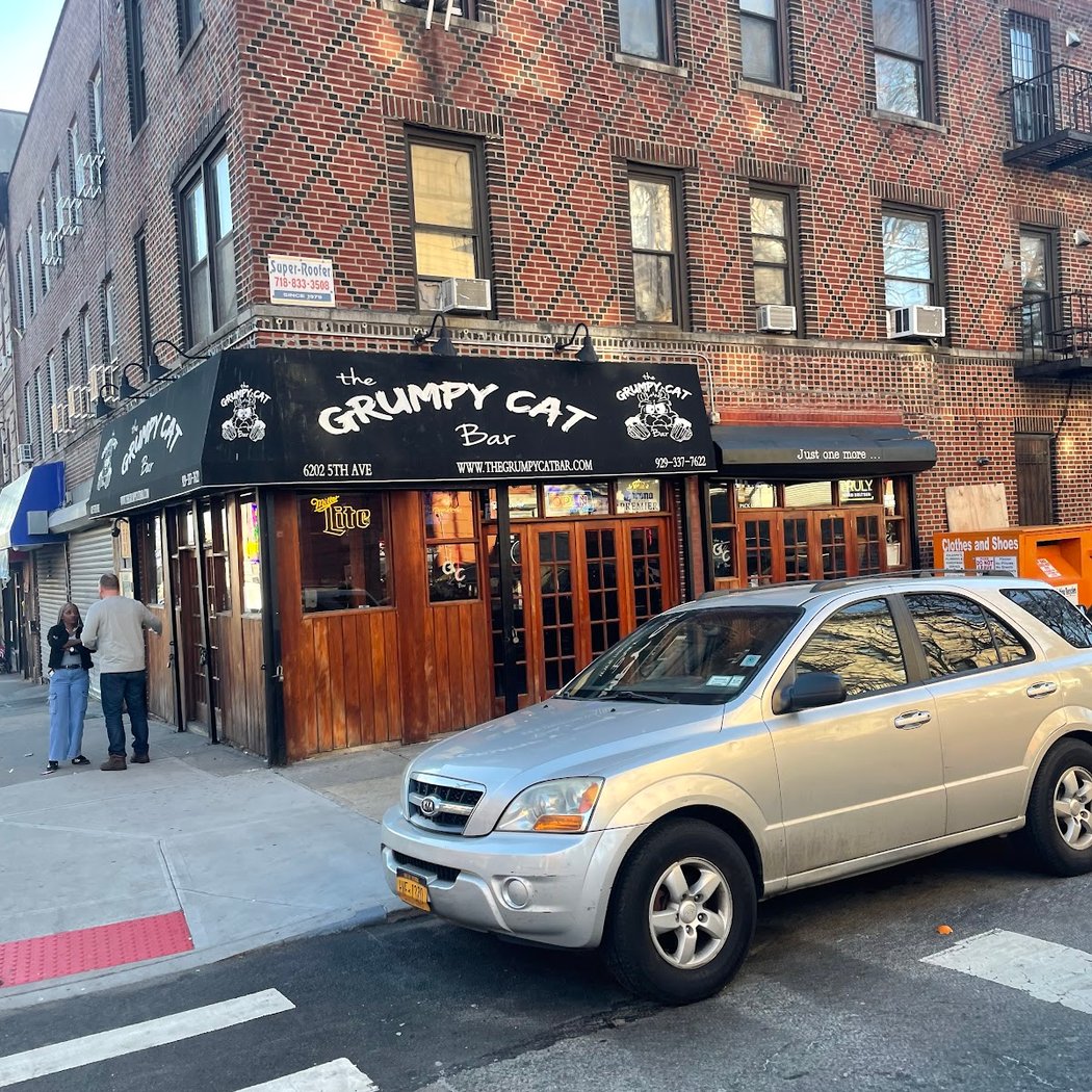 The Grumpy Cat Bar 3