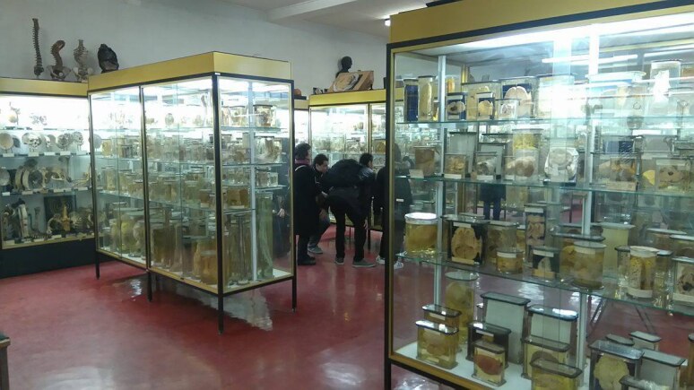 Musée Dupuytren 2