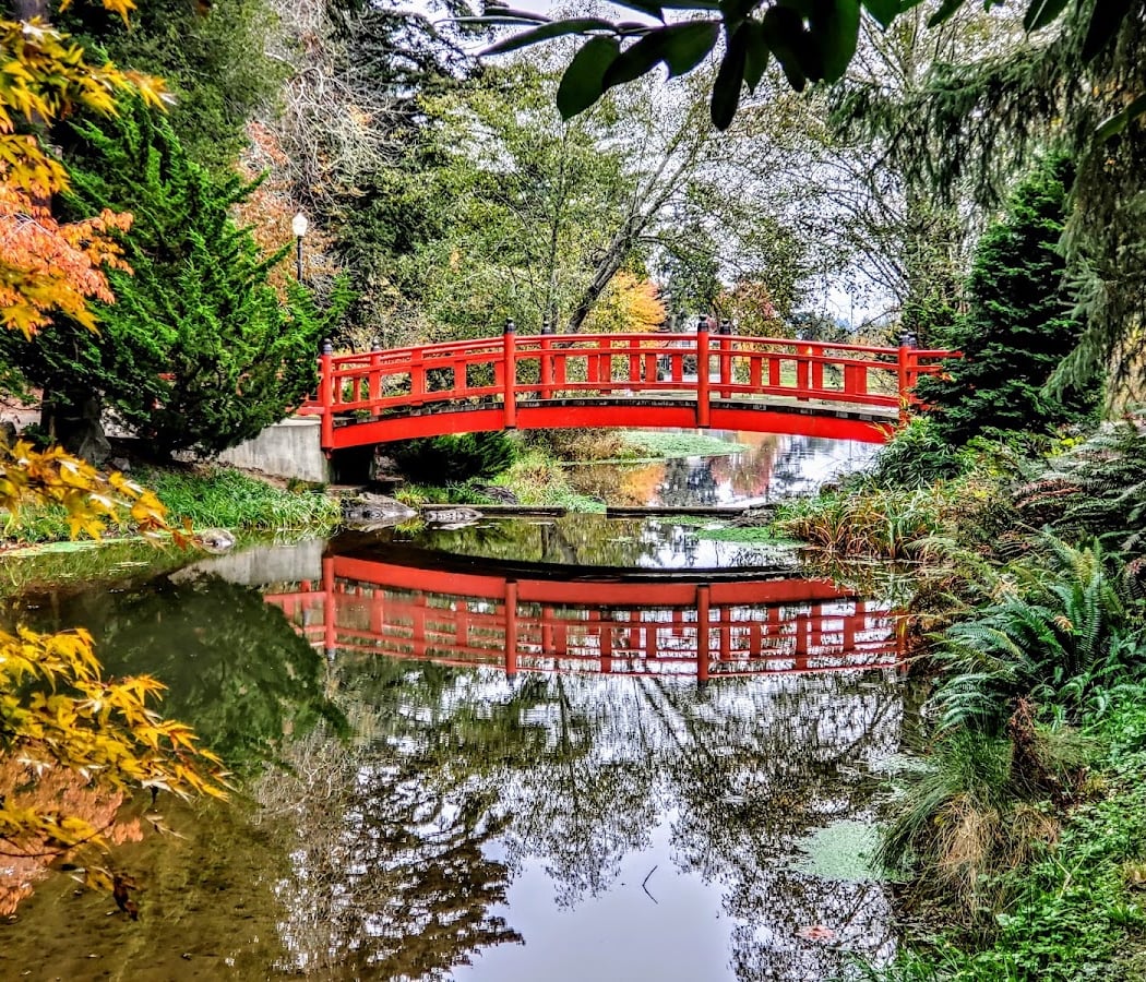 Mingus Park 1