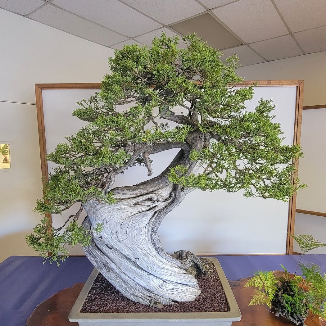Southern Alameda County Buddhist Church 1