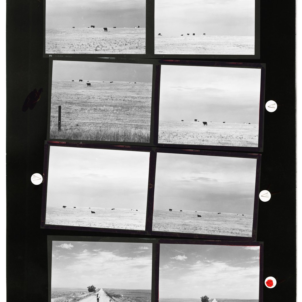 Book launch featuring Robert Adams: Contact and other books by the artist
