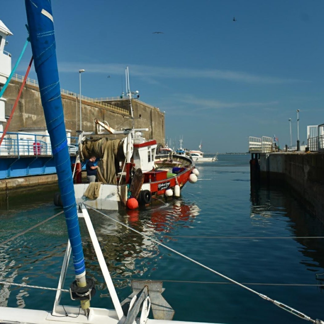 mouette and sea 3