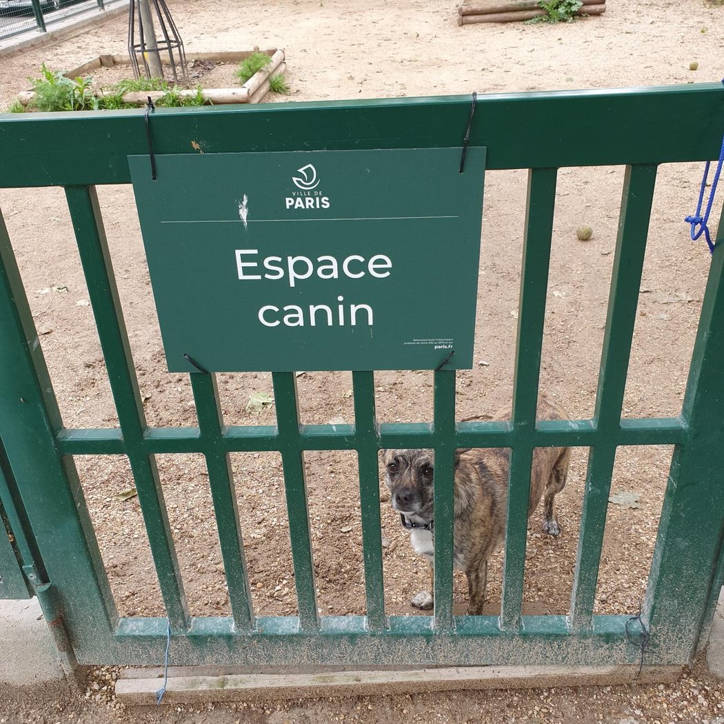Caniparc des Épinettes 1