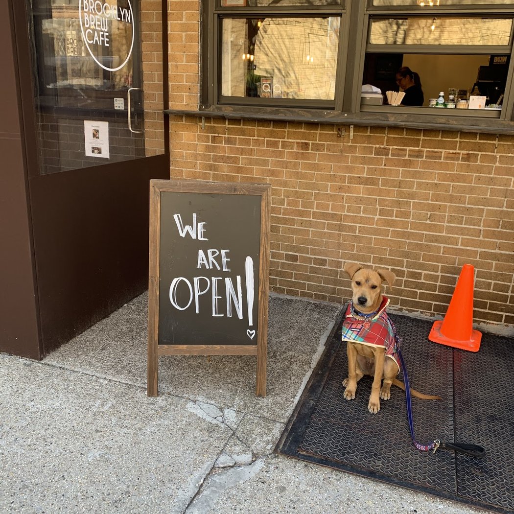 Brooklyn Brew Cafe 2