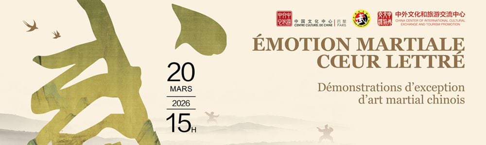 Centre Culturel de Chine 1