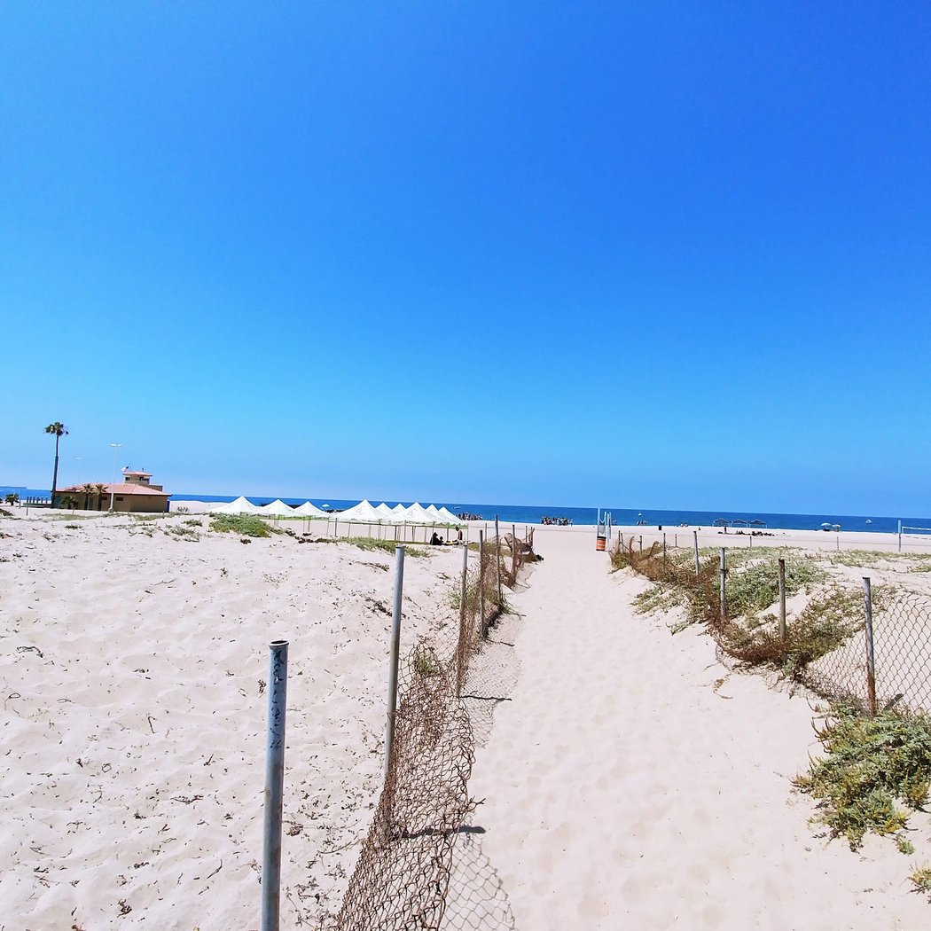 Del Rey Lagoon 3
