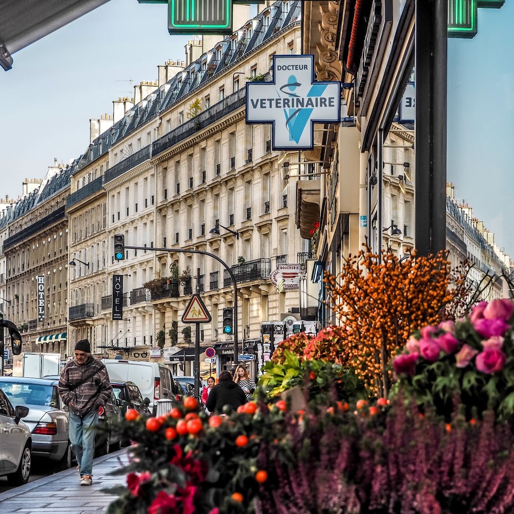 Rue Monge 1