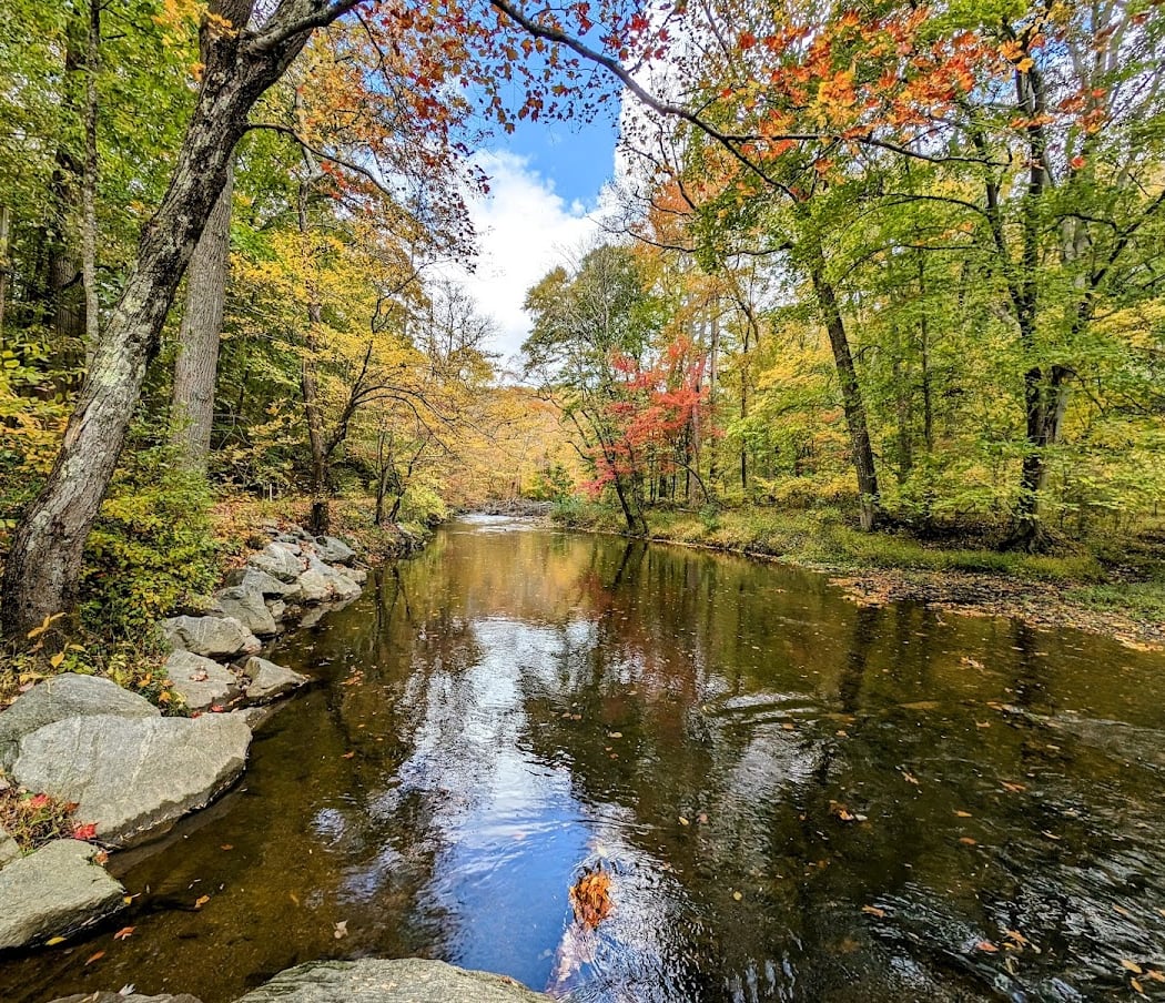 Ridley Creek Weekly, Class B/C 2