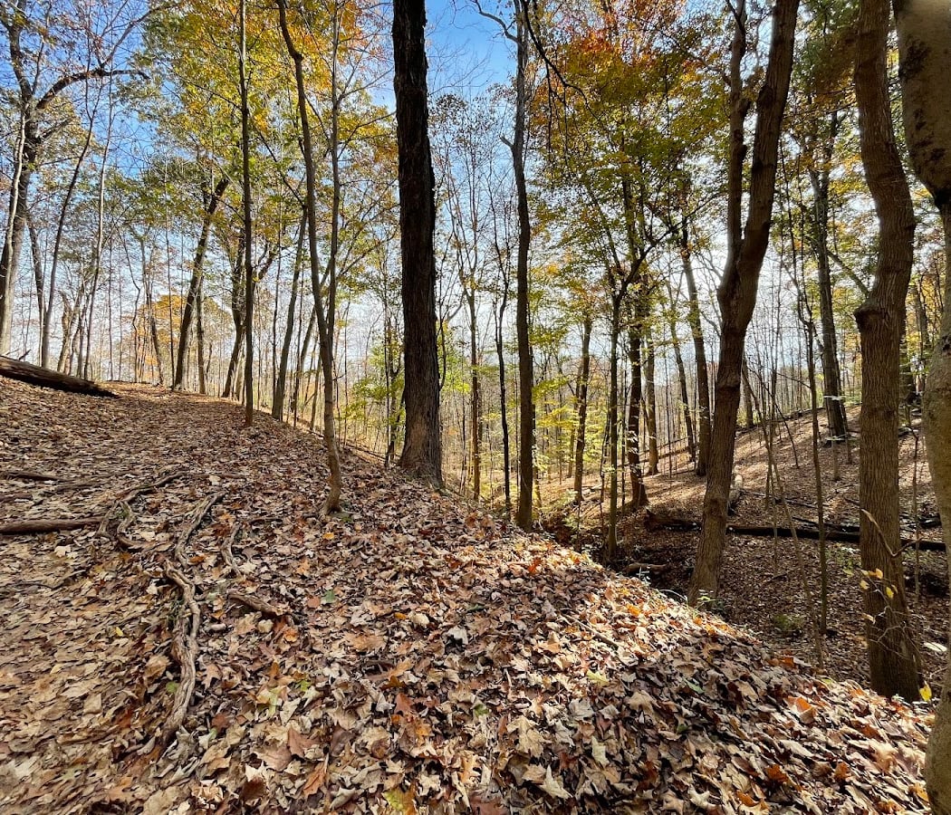 Skippack Creek Loop Hike 3