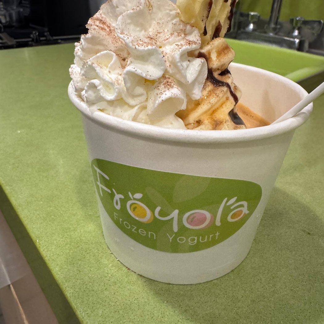 Froyola Premium Frozen Yogurt 2