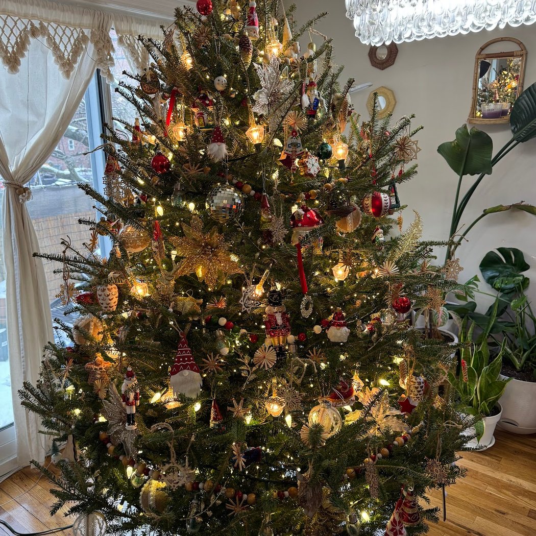 Greg's Trees 2