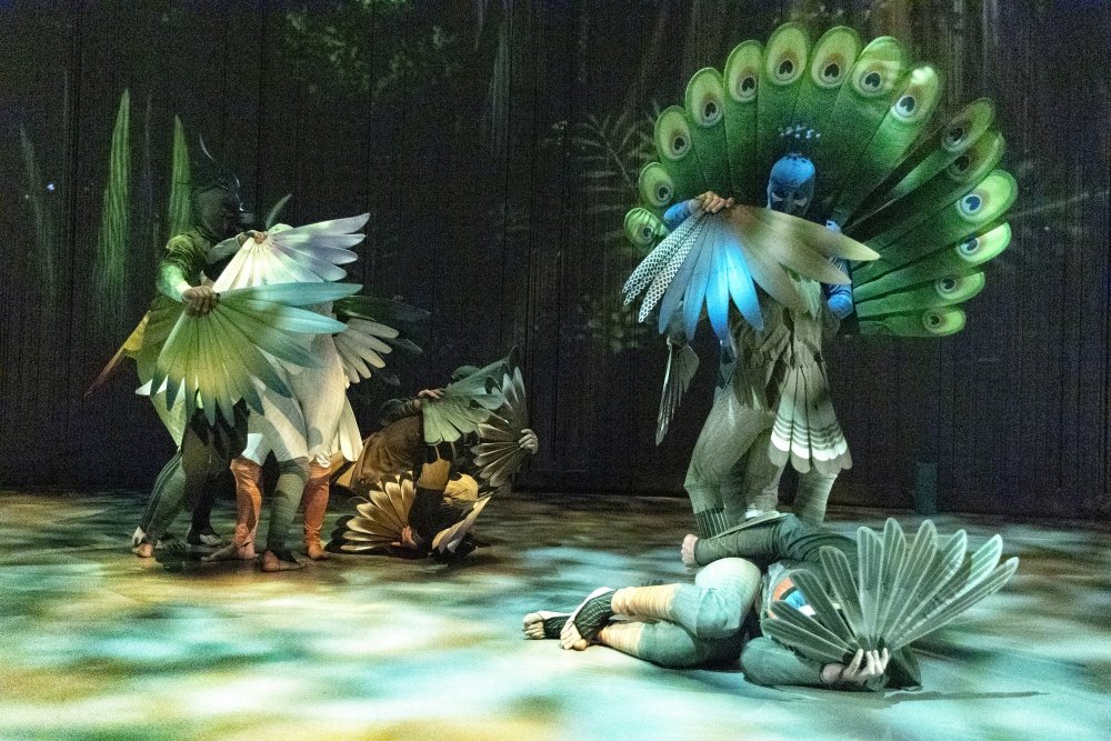 La Conférence des Oiseaux 1