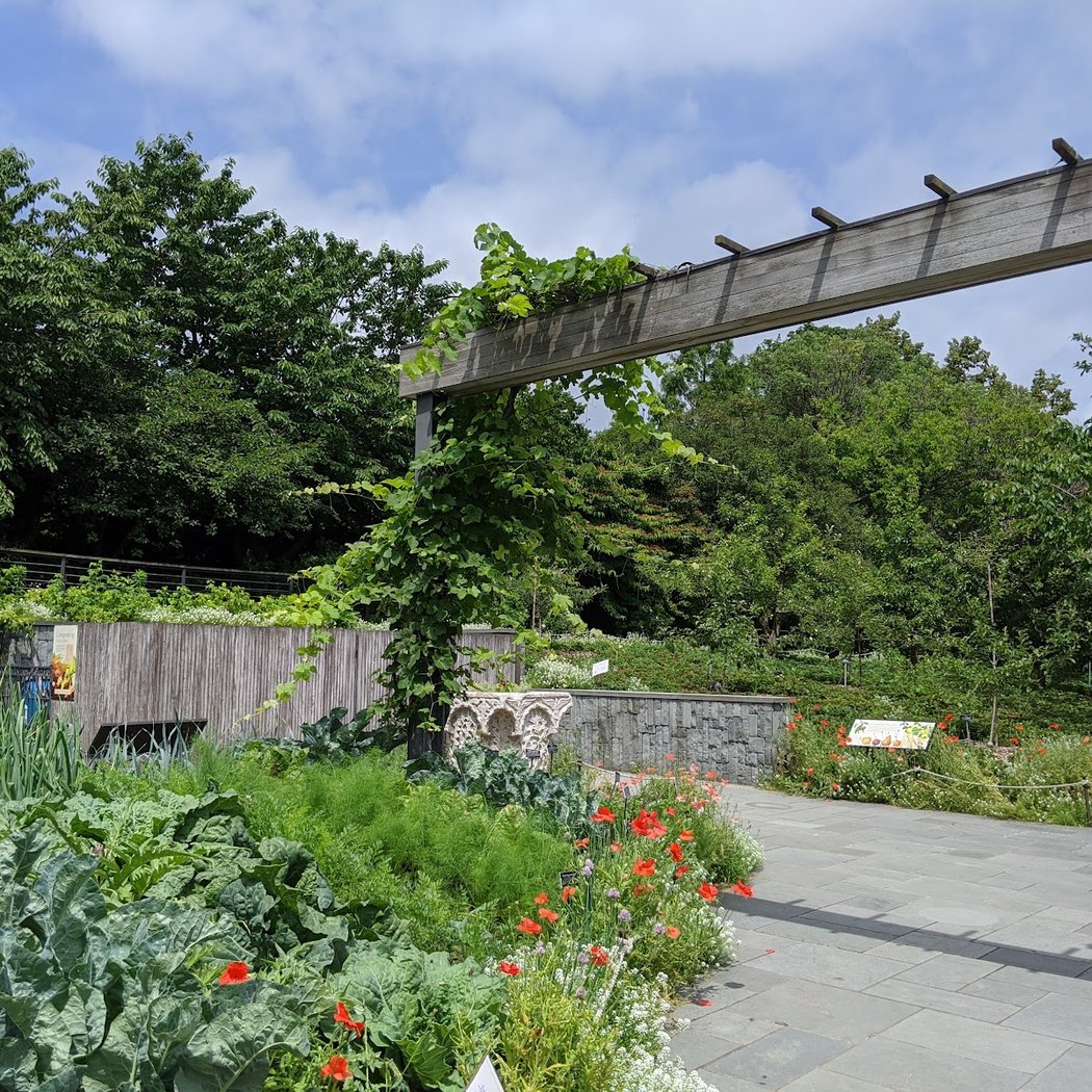 Herb Garden 2