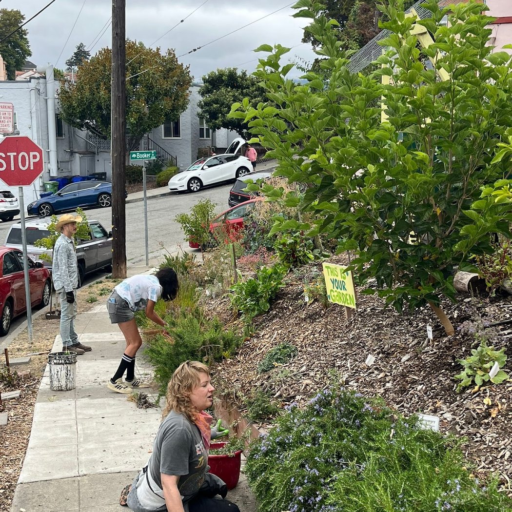 Gravity Garden: Free Pantry / Oakland Urban Garden 3